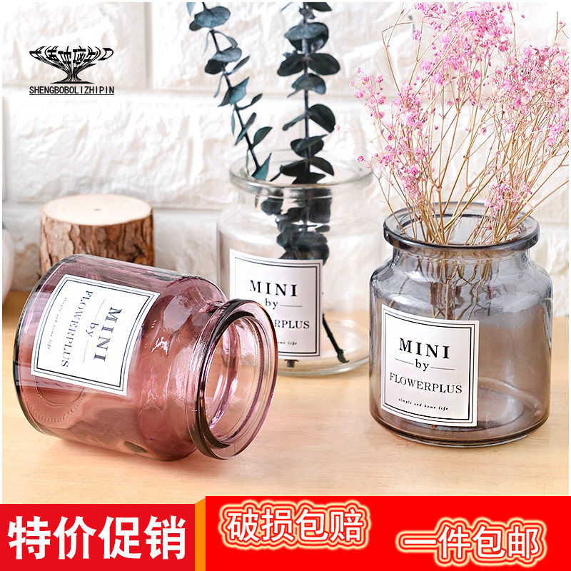 北欧风小号玻璃插花瓶台面水培