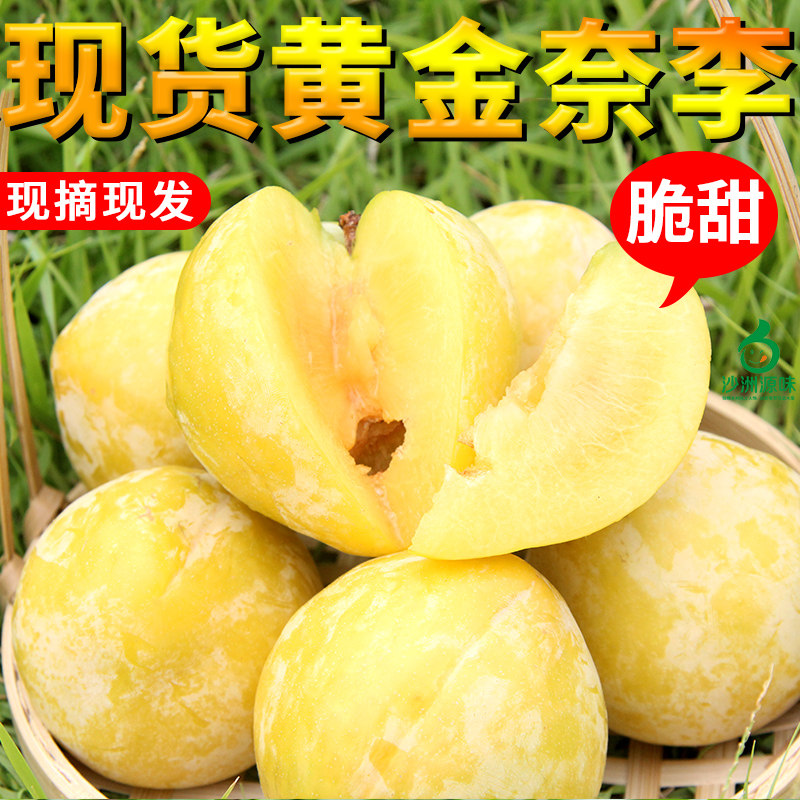 正宗湖南郴州汝城文明黄金奈李子新鲜现摘现发应季孕妇水果脱骨李