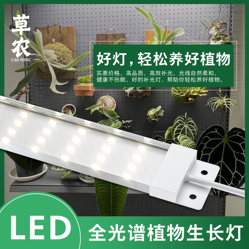 草农LED鹿角蕨蝴蝶兰植物补光灯