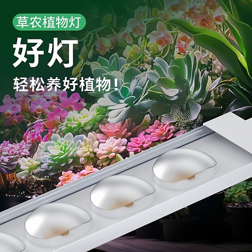 草农LED全光谱多肉L鹿角蕨补光灯