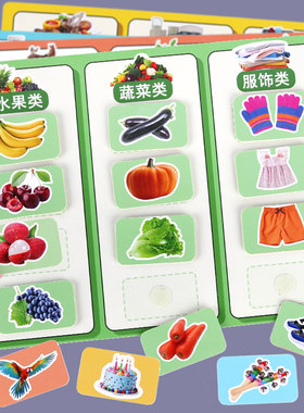 物品分类卡片幼儿园中大班区域区角活动材料生活常识益智教玩具