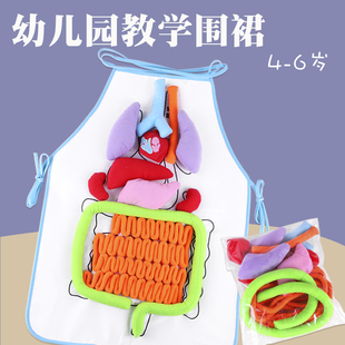 人体器官教学围裙幼儿园大班科学区域区角不织布中班自制玩教具