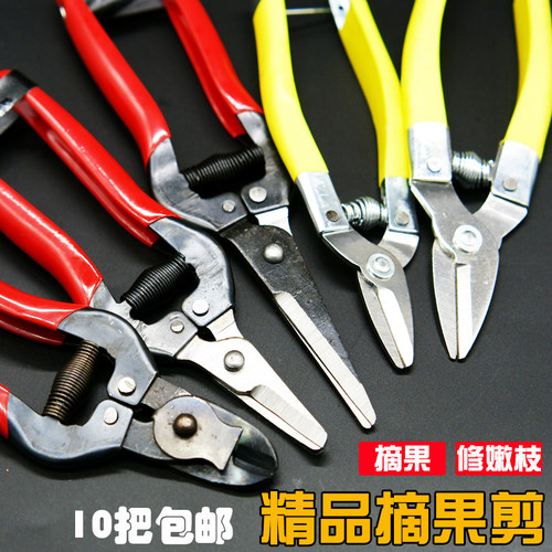 修枝剪剪刀柑橘桔子摘果果剪专用