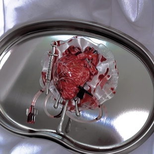 原创 | 心脏胸针小众医疗病院注射器医疗系血液系哥特lolita饰品