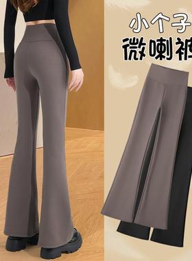 PLER喇叭鲨鱼裤女外穿打底2025春秋小个子新款高腰微喇叭裤