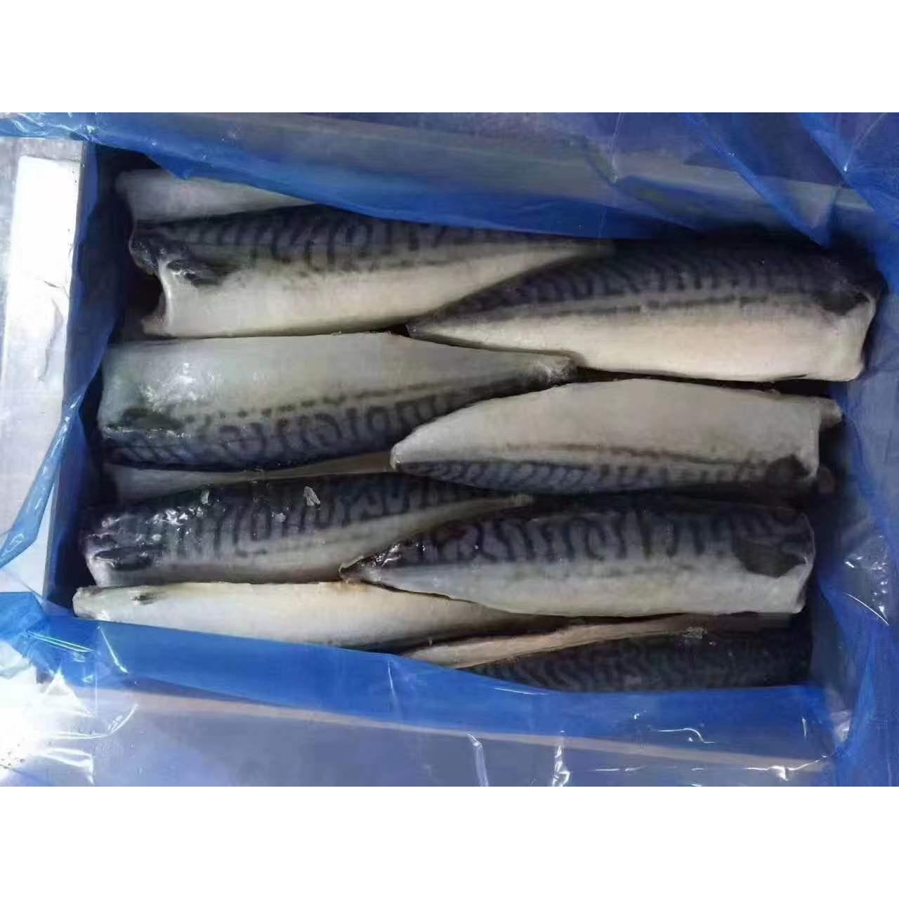 挪威青花鱼片大连工厂直营5kg/箱