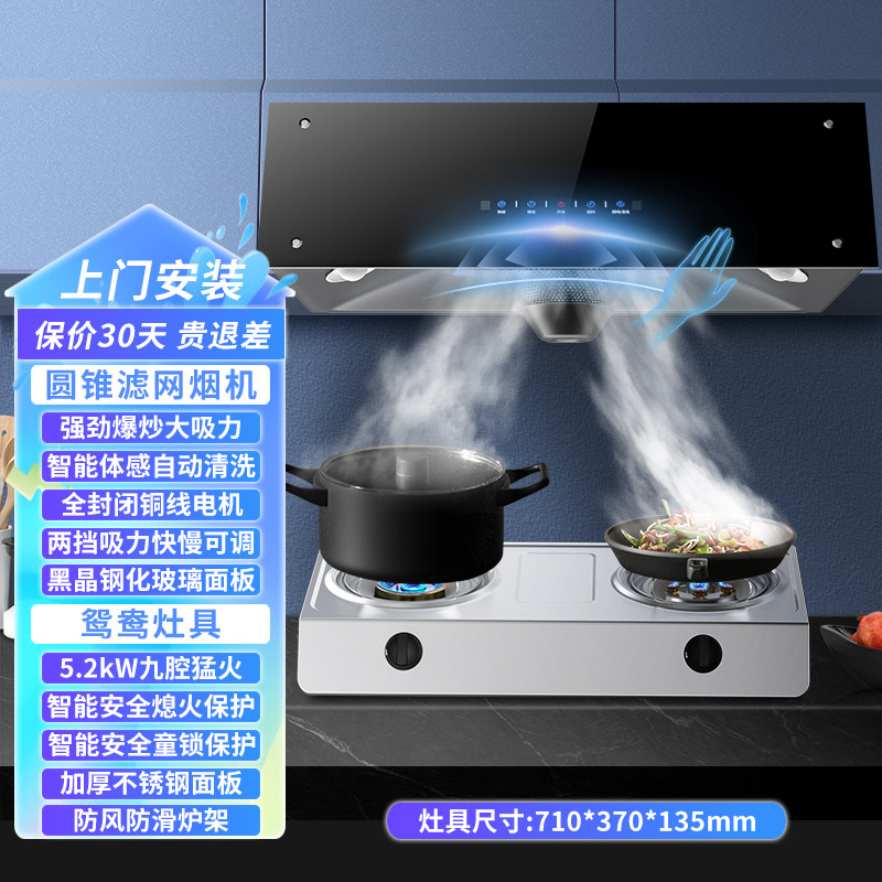 德国进口惠普好太太抽油烟机燃气