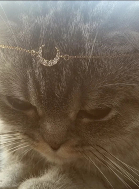 天气不似预期 Agete同款镀金锆石月亮 淡水珍珠14k包金锁骨项链女