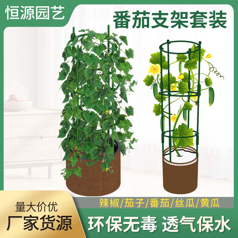 西红柿番茄架种菜黄瓜豆角架子植物花架阳台爬藤支架瓜果支撑杆