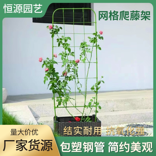 庭院园艺屏风可造型花支架