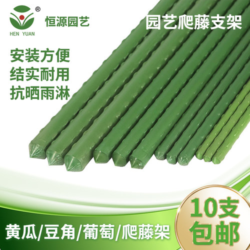 黄瓜豆角瓜果葡萄爬藤架
