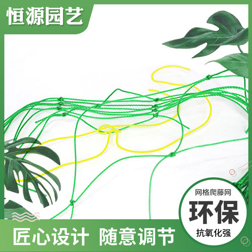 蔬菜瓜果园艺网爬藤网攀爬网