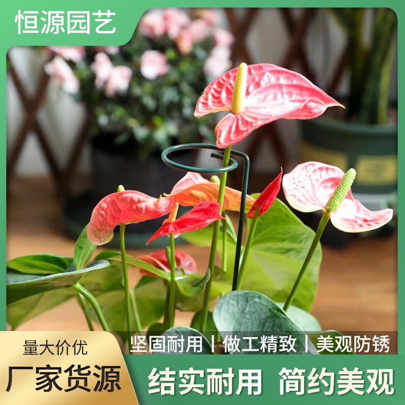 花支撑阳台种菜植物爬藤支柱花支柱爬藤植物园艺支架铁质固定架