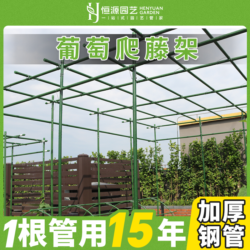 葡萄架户外庭院植物园艺爬藤架花架豆角架包塑钢管黄瓜架子种菜架