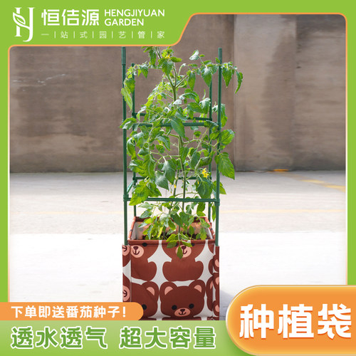 恒源番茄西红柿种植袋箱