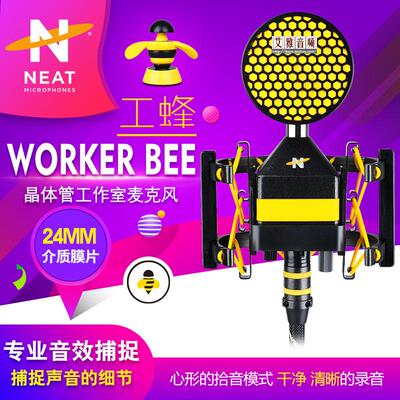 NEAT Worker Bee工蜂   中振膜 晶体管录音麦克风
