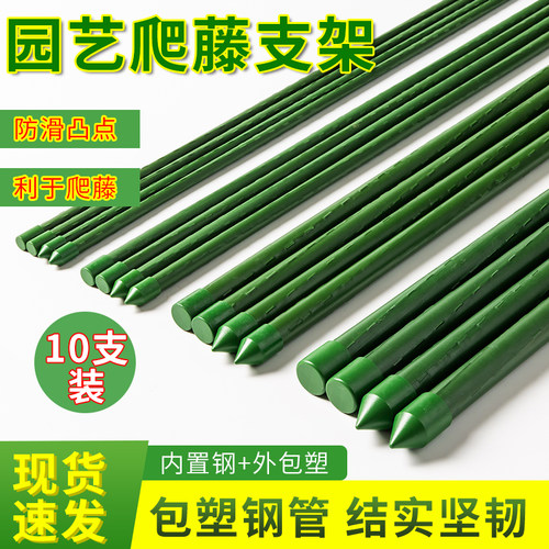 爬藤架月季花架葡萄架豆角黄瓜