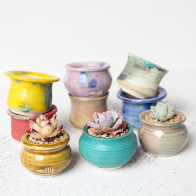 一卌迷你小号中温景德镇拉坯复古创意控型透气吸水拇指多肉花盆