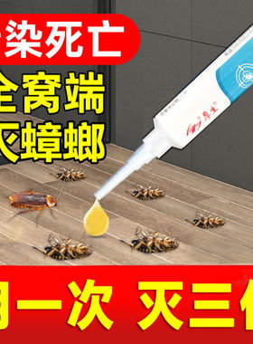 蟑螂药家用强力灭除全窝端小强