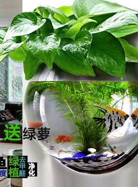 Creative wall decoration for fish tank living room hanging w