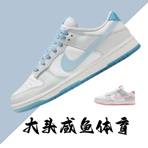 耐克男女DUNK低帮情侣板鞋520