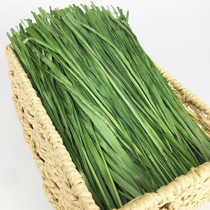2026宠物兔子吃的烘干北提干草南提摩西草龙猫 荷兰猪牧草毛重1kg