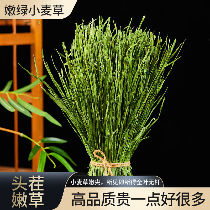 24年烘干小麦草干草嫩尖 兔子牧草龙猫草料荷兰猪粮食饲料毛重1kg 宠物/宠物食品及用品 兔兔干草 原图主图