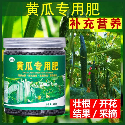 黄瓜专用肥黄瓜肥料化肥水溶肥有机肥盆栽什么复合肥青瓜种植种菜