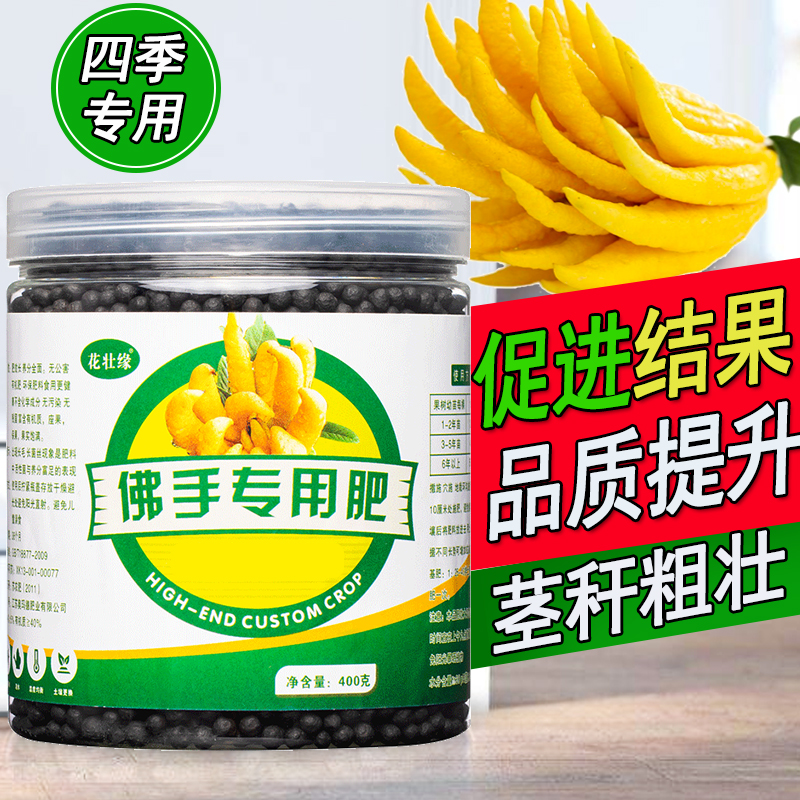 佛手树促进开花促进结果专用肥