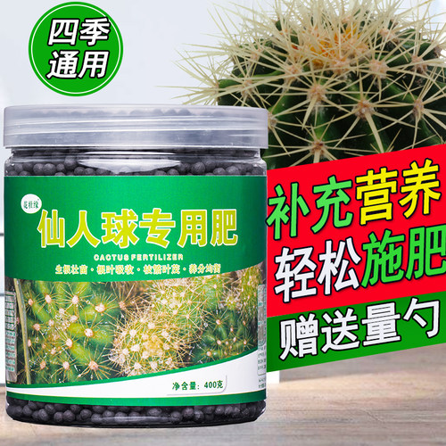 仙人球肥料壮根壮苗促生长