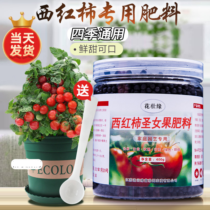 西红柿肥料促进开花结果