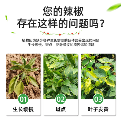 辣椒专用肥料辣椒肥料辣椒专用复合肥盆栽辣椒苗韭菜施肥有机肥种