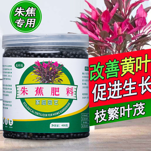 朱蕉肥料红叶朱蕉朱竹专用肥