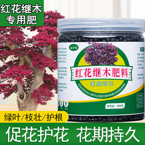 红花继木肥料促生长开花四季用