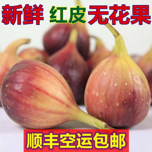 顺丰空运无花果新鲜大果当季孕妇应季不常见水果下奶Z疮保健