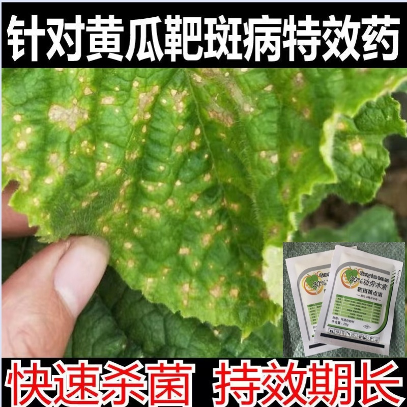 黄瓜靶斑小黄点角斑黄瓜小黄点白粉靶斑黄点清蔬菜黄点功劳木素 农用物资 叶面肥 原图主图