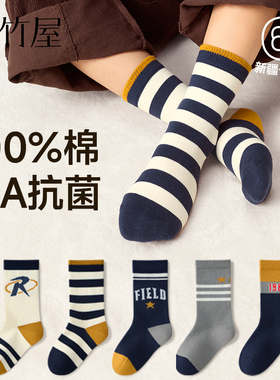 儿童袜子男童纯棉春秋款a类10A抗菌防臭无骨大童男孩学生棉袜中筒