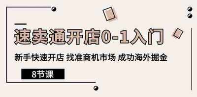 速卖通开店0-1入门新手快速开店找准商机市场 成功海外掘金 8节课