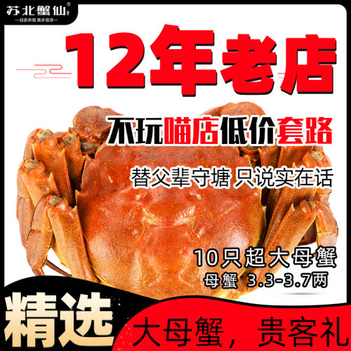 兴化大闸蟹3.5两精品母蟹礼盒