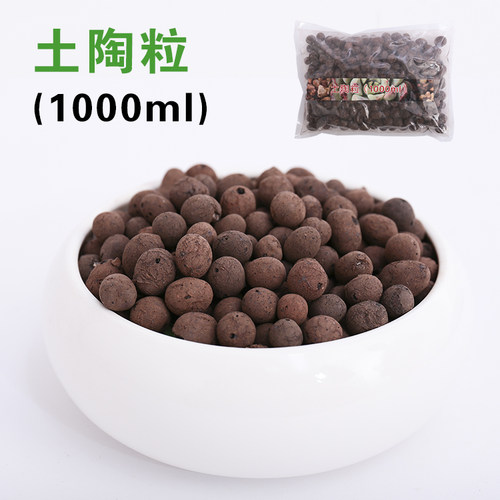 土陶粒盆栽多肉植物水培