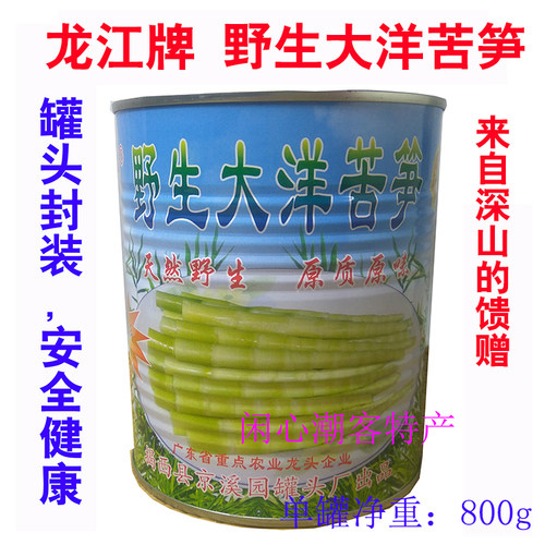 龙江牌野生大洋苦笋罐头潮汕特产