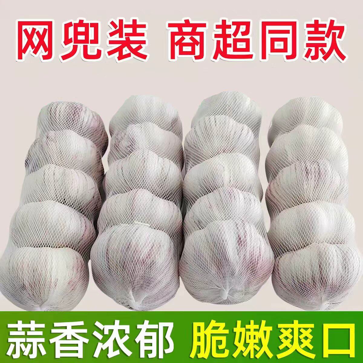 金乡新鲜紫白皮干大蒜