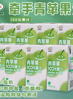 牵手夏日青苹果汁100%健康饮品学生小饮料250ml*12盒方便即饮果汁