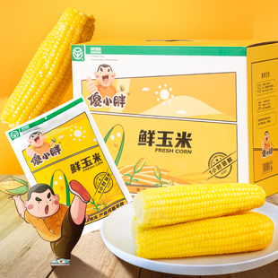 傻小胖香糯玉米10支真空装礼盒营养早餐运动代餐即食甜糯玉米棒