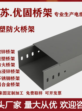 镀锌防火桥架喷塑线槽金属热浸锌
