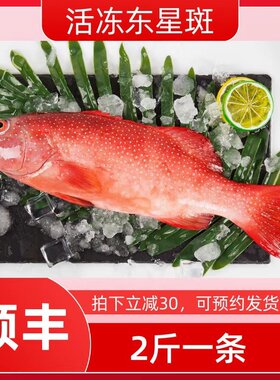 冷冻东星深海鱼进口鲜活