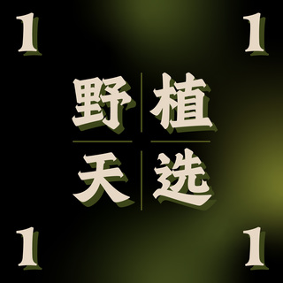 纵野 / 1号直播专拍 热带观叶盆栽装饰趣味盆景客厅绿植落地