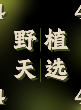 纵野/ 4号直播专拍 客厅绿植室内大盆栽趣味好看稀有花烛蔓绿绒