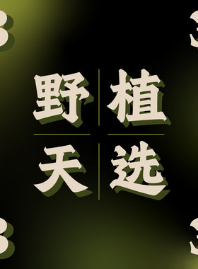 纵野/ 3号直播专拍 客厅绿植室内大盆栽趣味好看稀有花烛蔓绿绒