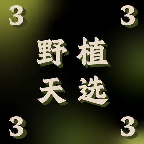 纵野/ 3号直播专拍 客厅绿植室内大盆栽趣味好看稀有花烛蔓绿绒